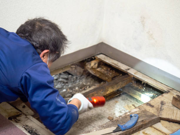 Best Mold Testing  in Troy, OH
