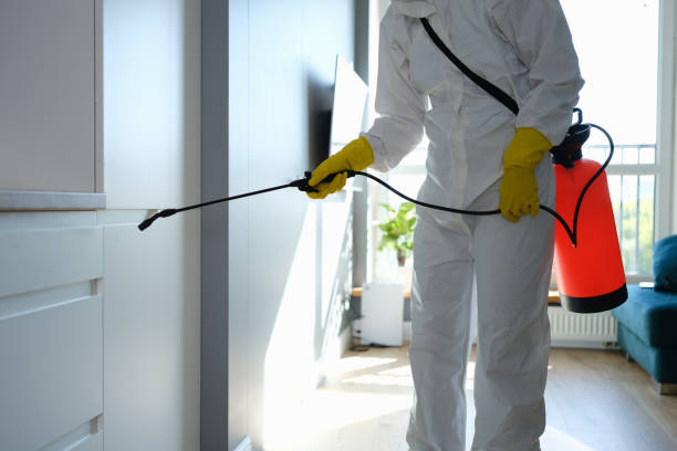 Best Toxic Mold Removal  in Troy, OH